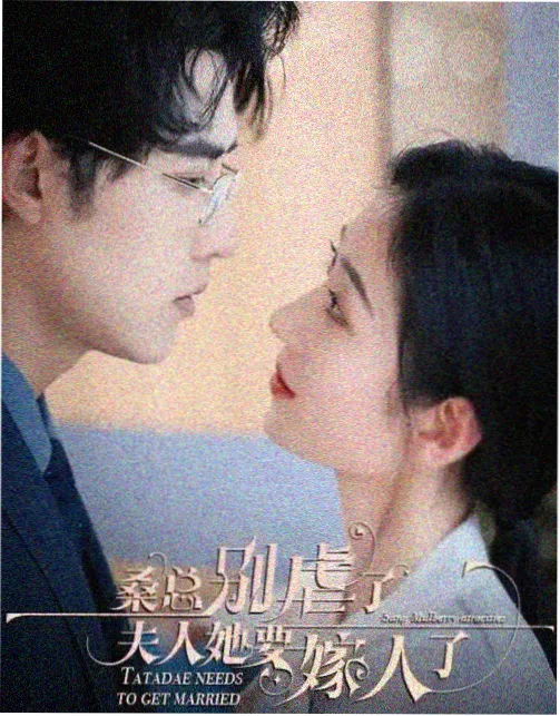 北方来客 方言剧集免费追